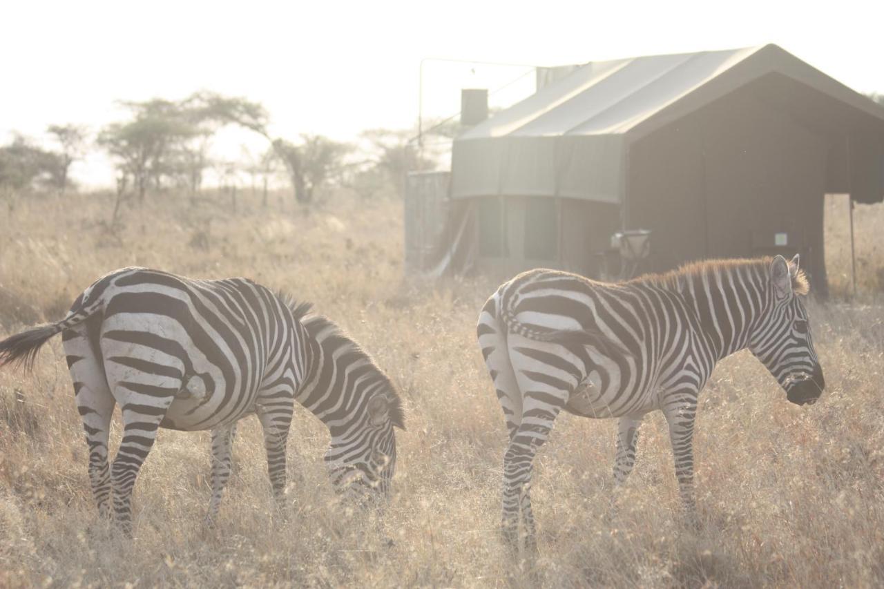 Kananga Special Tented Camp Banagi Exterior foto